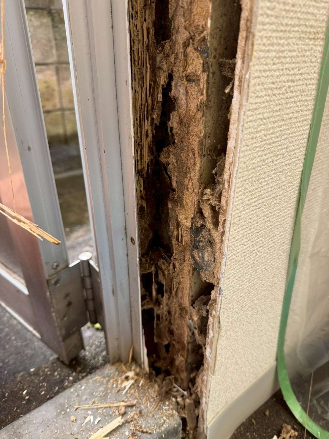 シロアリ駆除 船橋市